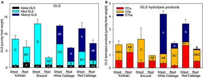 Corrigendum: Identification and Characterization of Three Epithiospecifier Protein Isoforms in Brassica oleracea